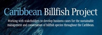 新澳门六合彩开奖直播 partners in the FAO Caribbean Billfish Project