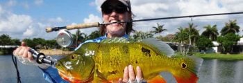 Female freshwater world record categories added